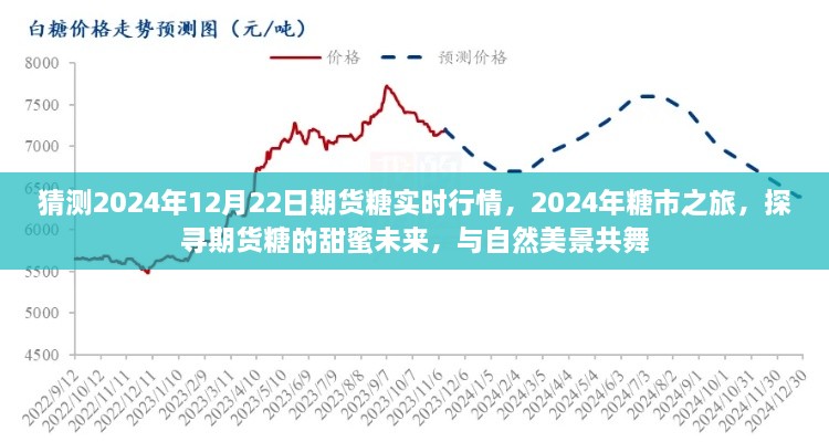 探尋期貨糖的甜蜜未來，預測2024年糖市行情與期貨糖實時行情展望