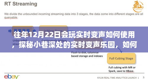 探秘實(shí)時(shí)變聲樂(lè)園，揭秘往年12月22日的神奇變聲技巧與樂(lè)園體驗(yàn)指南