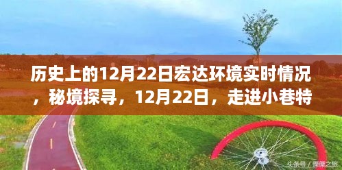 秘境探尋，宏達環(huán)境下的宏大環(huán)境之旅——歷史上的12月22日實時記錄