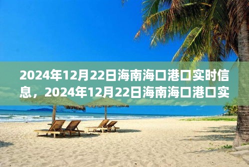 2024年12月22日海南?？诟劭趯?shí)時(shí)信息全解析，小紅書(shū)帶你掌握最新動(dòng)態(tài)