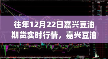 往年12月22日嘉興豆油期貨行情回顧，溫情時(shí)光與期貨市場(chǎng)的奇妙交匯