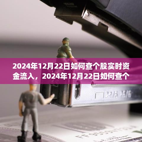 多維度解析與觀點(diǎn)探討，如何查詢個(gè)股實(shí)時(shí)資金流入——以2024年12月22日為例