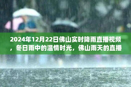 溫情時光與友情故事，佛山雨天直播實錄，實時降雨直播視頻