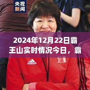 霸王山新篇章，學習變化中的自信與成就之旅（實時更新2024年12月22日）