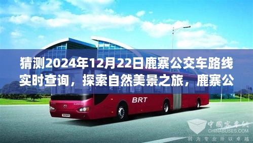 鹿寨公交路線新探秘，啟程2024年12月22日，探尋自然美景之旅實時查詢