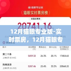 12月貓眼專業(yè)版實時票房解析，電影市場深度洞察