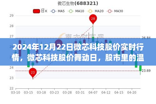 微芯科技股價(jià)實(shí)時(shí)行情解析，股市中的溫情故事在舞動(dòng)日展現(xiàn)（2024年12月22日）