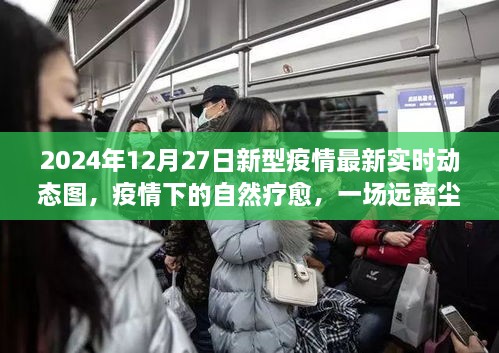 疫情下的自然療愈之旅，探尋內(nèi)心平靜與新型疫情的實時動態(tài)圖