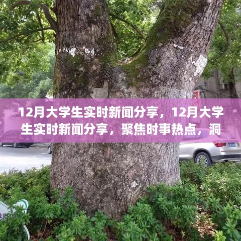 聚焦時事熱點，大學(xué)生實時新聞分享，洞察時代變遷的十二月觀察