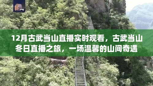 古武當(dāng)山冬日直播之旅，探尋山間奇遇的溫馨之旅