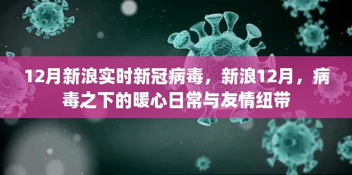 新浪12月，病毒下的暖心日常與友情紐帶，實時新冠病毒報道