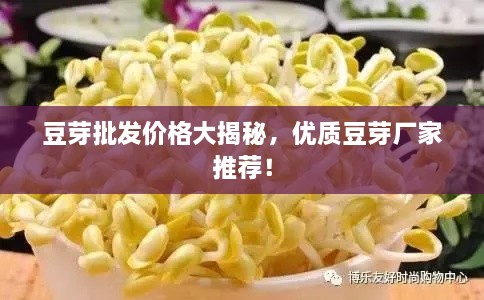 豆芽批發(fā)價(jià)格大揭秘，優(yōu)質(zhì)豆芽廠家推薦！