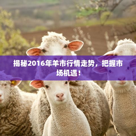 揭秘2016年羊市行情走勢，把握市場機遇！