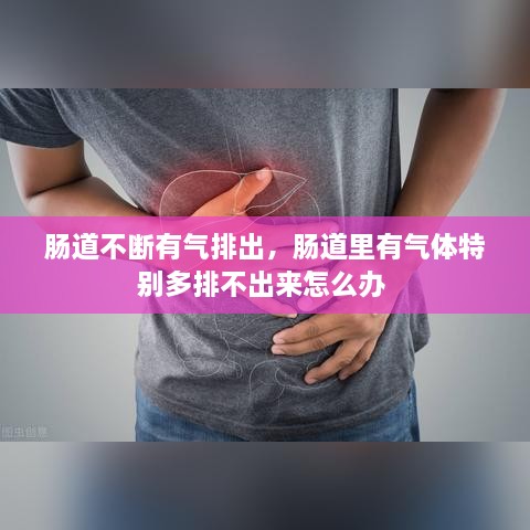 腸道不斷有氣排出，腸道里有氣體特別多排不出來(lái)怎么辦 