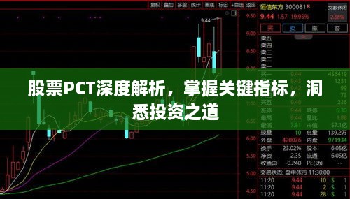 股票PCT深度解析，掌握關鍵指標，洞悉投資之道