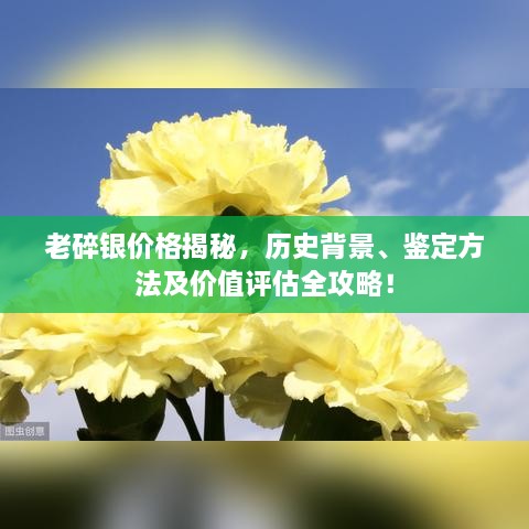 老碎銀價格揭秘，歷史背景、鑒定方法及價值評估全攻略！