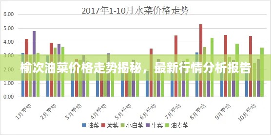 榆次油菜價格走勢揭秘，最新行情分析報告