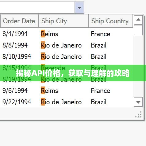揭秘API價(jià)格，獲取與理解的攻略