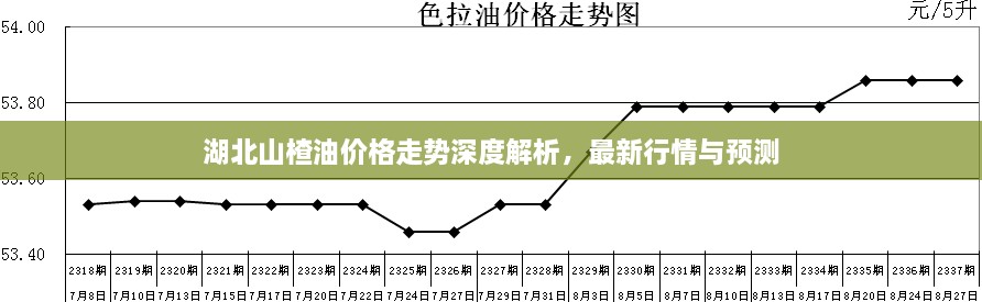 湖北山楂油價(jià)格走勢(shì)深度解析，最新行情與預(yù)測(cè)