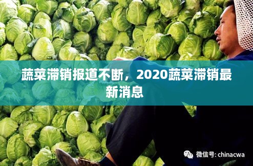 蔬菜滯銷(xiāo)報(bào)道不斷，2020蔬菜滯銷(xiāo)最新消息 