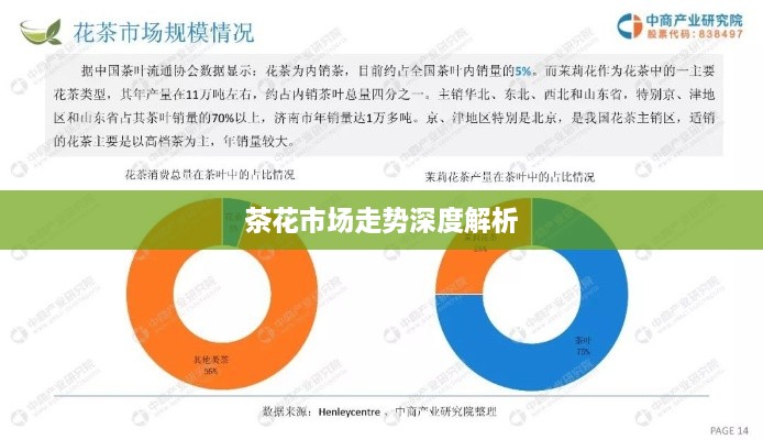 茶花市場走勢深度解析