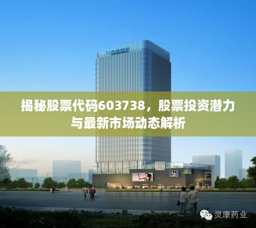 揭秘股票代碼603738，股票投資潛力與最新市場動態(tài)解析