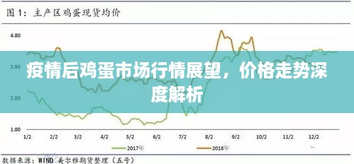 疫情后雞蛋市場行情展望，價格走勢深度解析