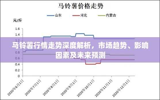 馬鈴薯行情走勢深度解析，市場趨勢、影響因素及未來預(yù)測