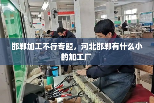 邯鄲加工不行專題，河北邯鄲有什么小的加工廠 