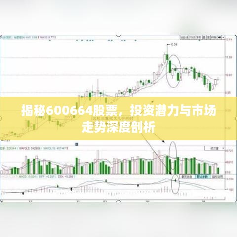 揭秘600664股票，投資潛力與市場(chǎng)走勢(shì)深度剖析