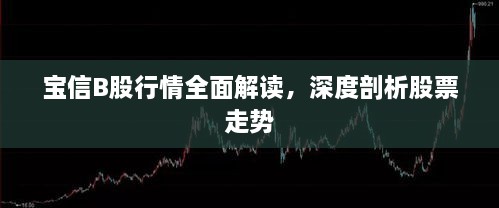 寶信B股行情全面解讀，深度剖析股票走勢