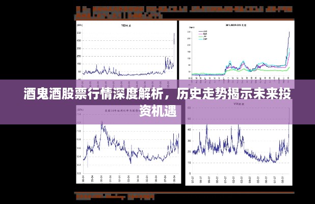 酒鬼酒股票行情深度解析，歷史走勢揭示未來投資機遇