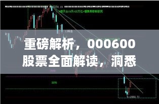 重磅解析，000600股票全面解讀，洞悉投資趨勢(shì)！