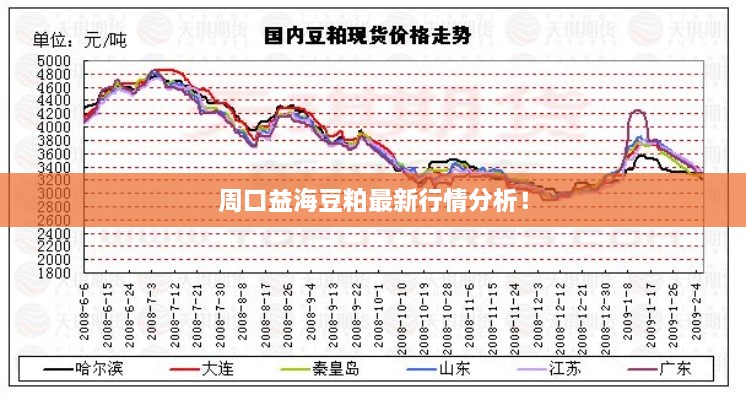 周口益海豆粕最新行情分析！