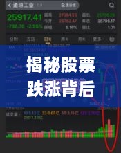 揭秘股票跌漲背后的風(fēng)險與策略，如何巧妙應(yīng)對股市波動？