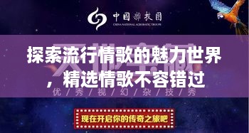 探索流行情歌的魅力世界，精選情歌不容錯過