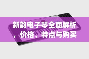 新韻電子琴全面解析，價格、特點與購買建議