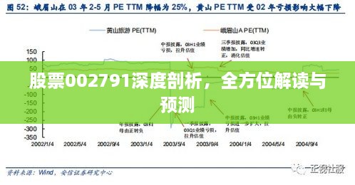 股票002791深度剖析，全方位解讀與預(yù)測(cè)