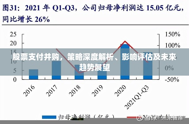 股票支付并購(gòu)，策略深度解析、影響評(píng)估及未來(lái)趨勢(shì)展望