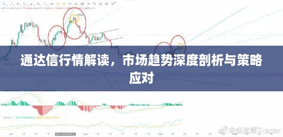 通達信行情解讀，市場趨勢深度剖析與策略應(yīng)對