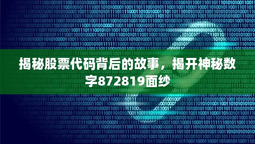 揭秘股票代碼背后的故事，揭開神秘?cái)?shù)字872819面紗