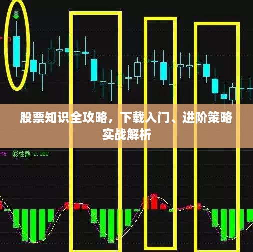 2025年1月7日 第7頁