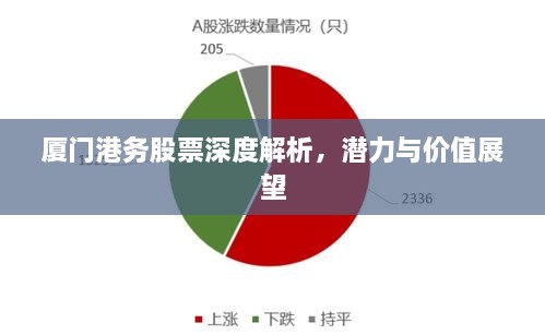 廈門港務(wù)股票深度解析，潛力與價值展望