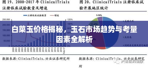 白菜玉價格揭秘，玉石市場趨勢與考量因素全解析