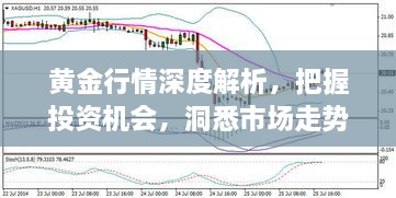 黃金行情深度解析，把握投資機會，洞悉市場走勢