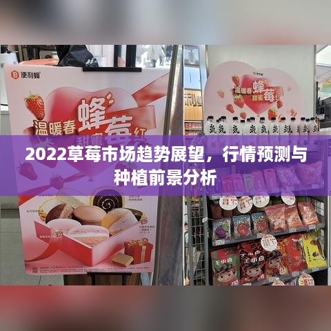 2022草莓市場(chǎng)趨勢(shì)展望，行情預(yù)測(cè)與種植前景分析