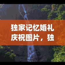 獨家記憶婚禮慶祝圖片，獨家記憶圖片唯美 