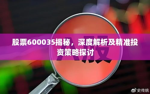 股票600035揭秘，深度解析及精準投資策略探討