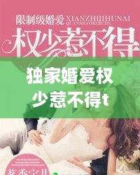 獨家婚愛權少惹不得txt下載，獨家婚寵免費閱讀全文 