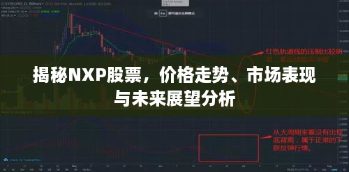 揭秘NXP股票，價格走勢、市場表現(xiàn)與未來展望分析